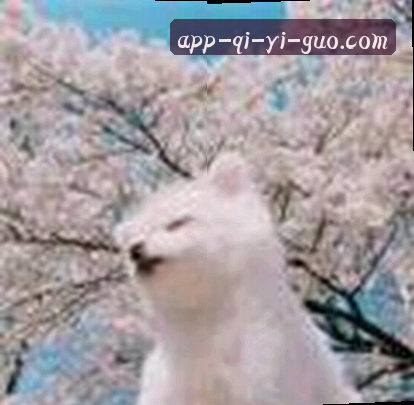 黄丽