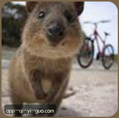 赵敏